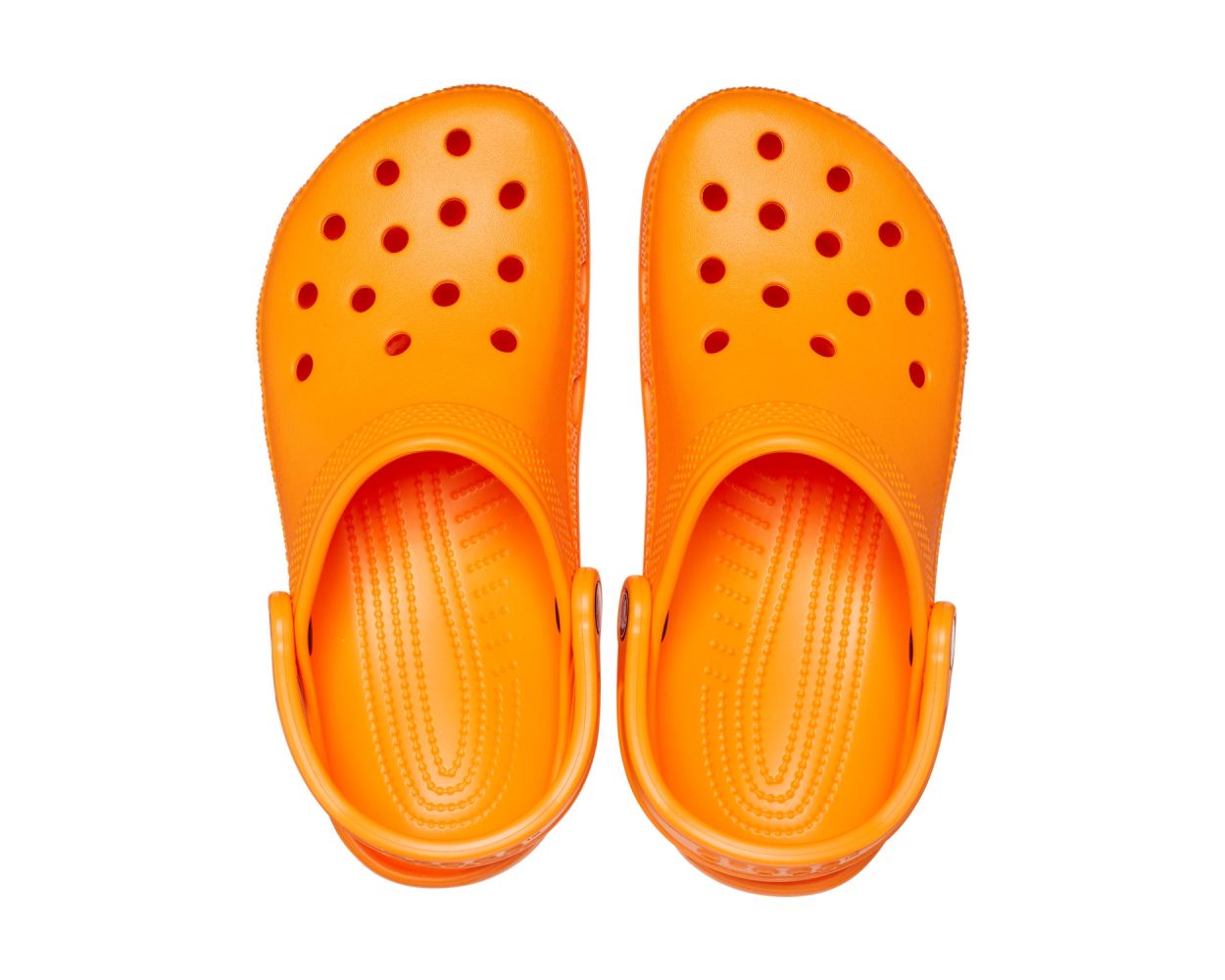 High quality The Orange Croc